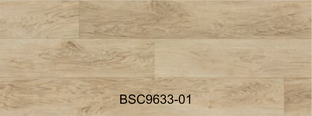 BSC9633-01