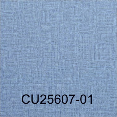CU25607-01