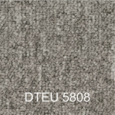 DTEU5808