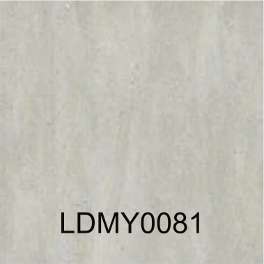 LDMY0081