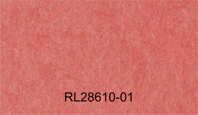 RL28610-01