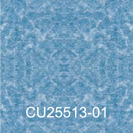 CU25513-01